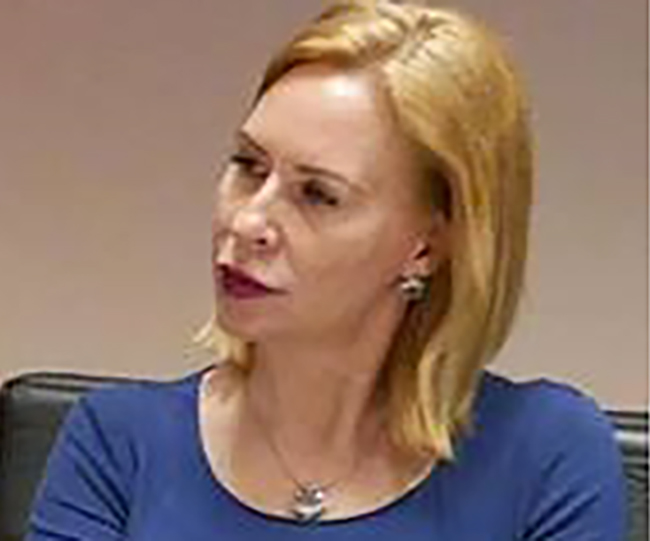 Sorina Ancuta Comanici, Sector 1