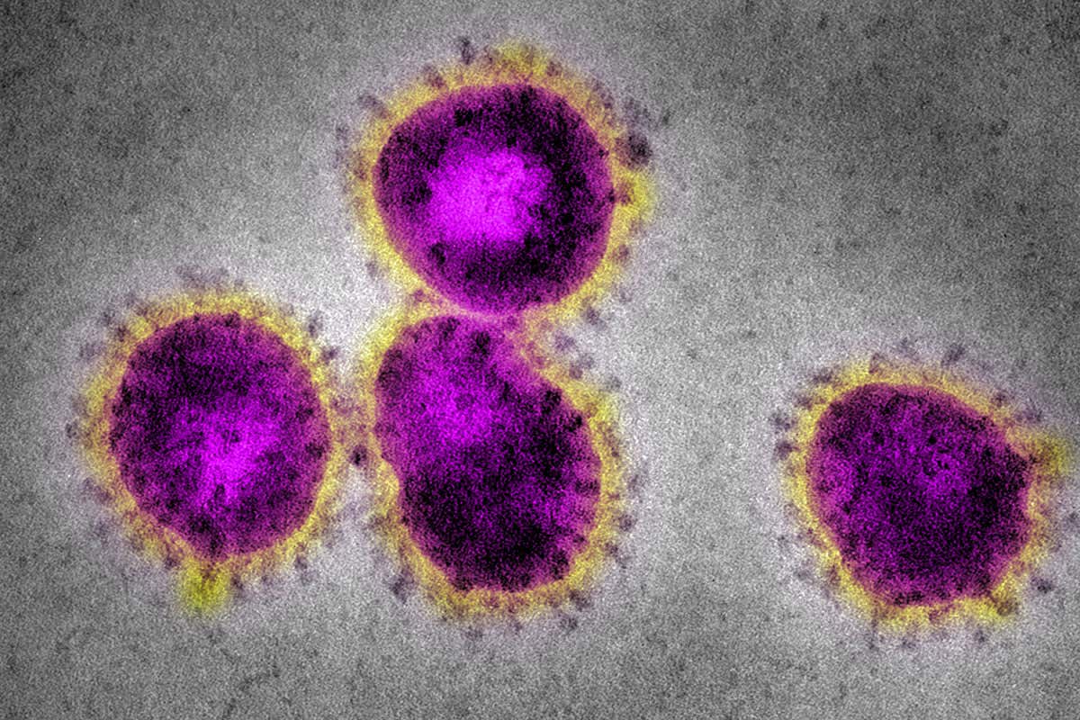 Povestea unui român vindecat de coronavirus. Adrian Boți nu crede în varianta autorităților