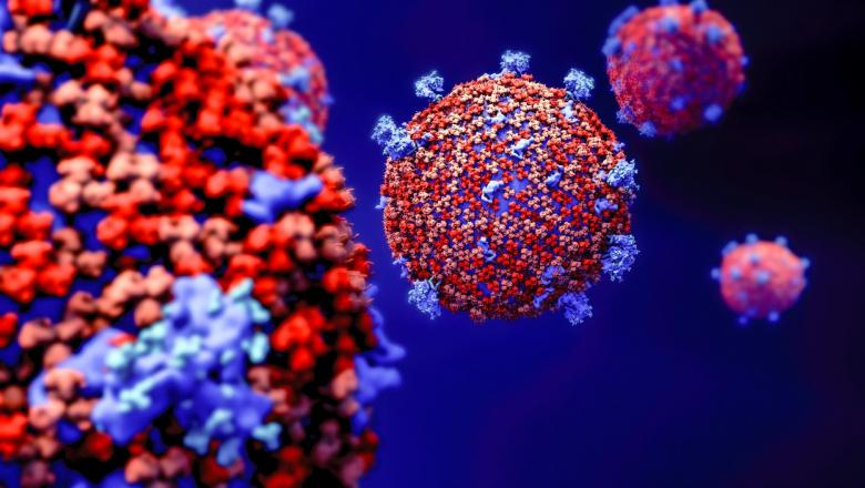 Infectarea cu coronavirus poate fi evitată dacă urmezi regula celor șase secunde. Ce presupune asta