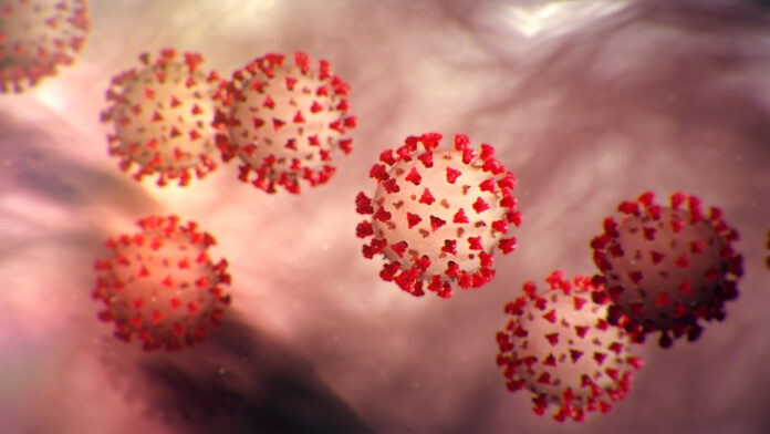Grupa sanguină care determină imunitate parțială la coronavirus. A funcționat în cazul SARS