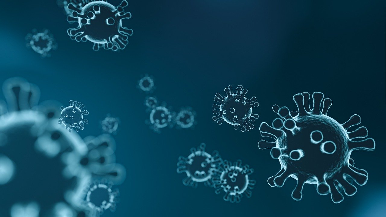 Primul studiu clinic pe vaccinul anticoronavirus din iulie în SUA