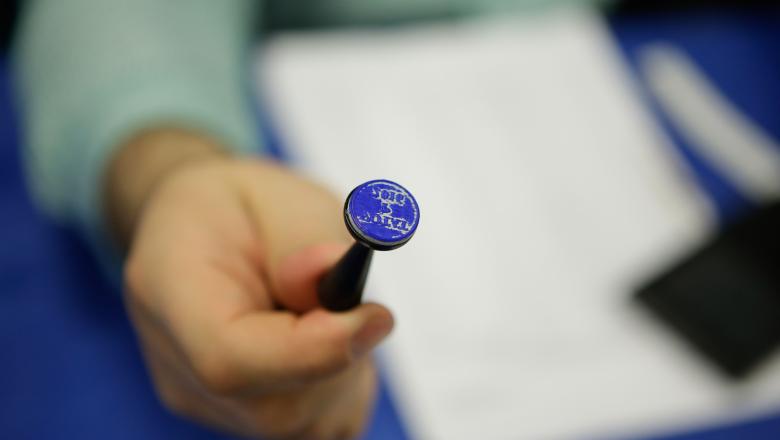 Alegerile locale vor costa 966.263.000 de lei, după bugetul de cheltuieli