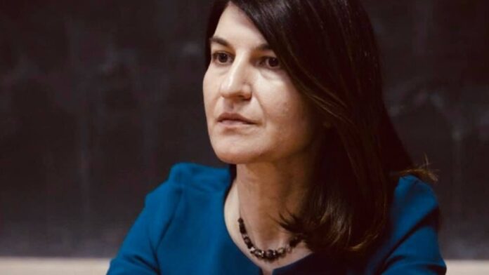 Florin Roman, acuzații la adresa colegilor liberali: „Violeta Alexandru a căzut victima celor care au negociat prost pentru PNL”
