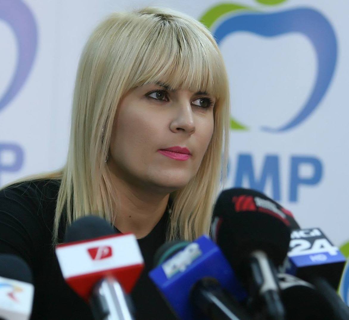 Dosarul Gala Bute. Emoții pentru Elena Udrea