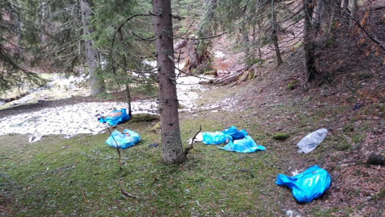Câini morți în Parcul Național Retezat. Cadavrele a 27 de câini în saci