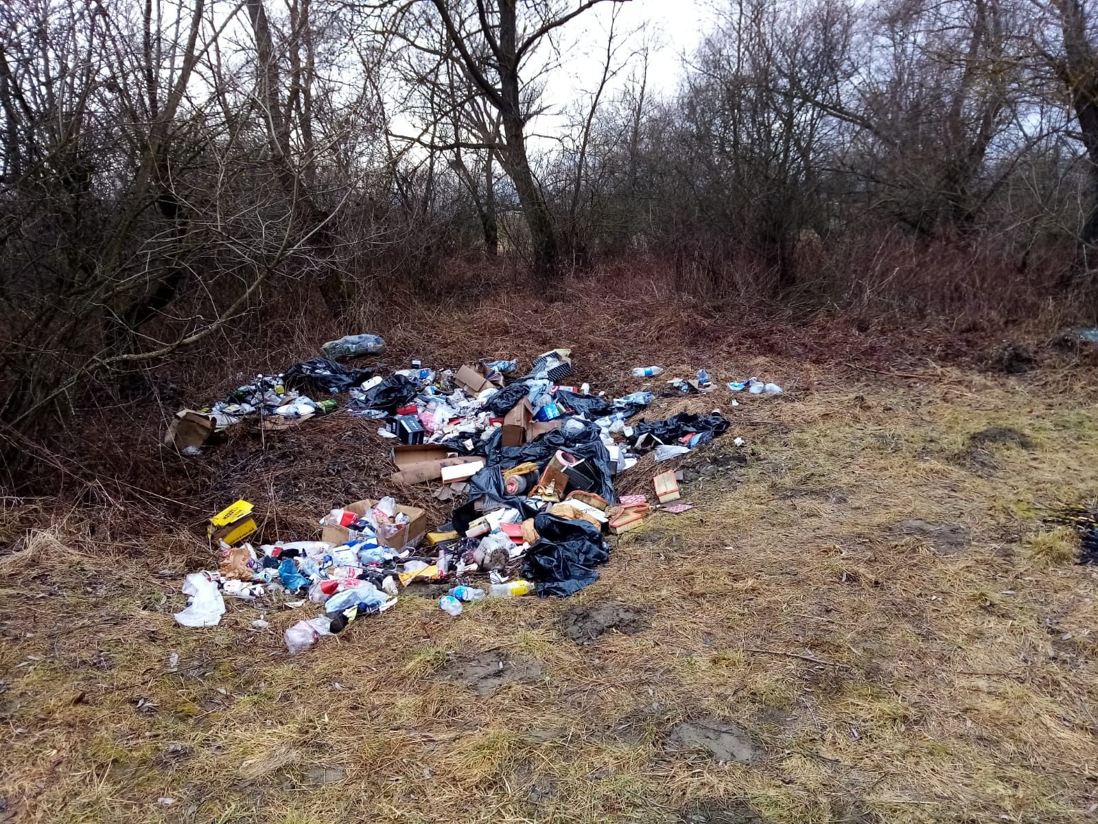 Garanția pentru sticlele de plastic propusă de ministrul mediului