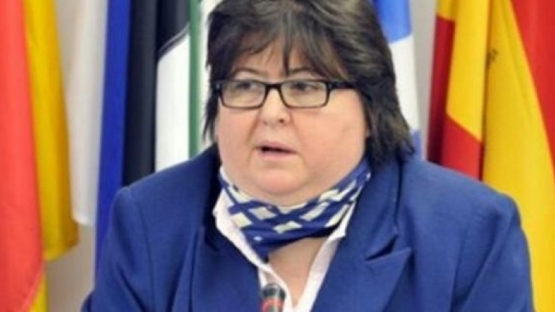 mungiu-pippidi