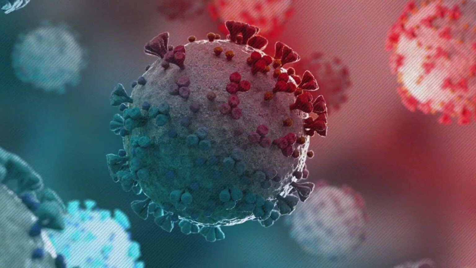 Răspândirea Omicron nu va fi împiedicată de măsurile luate de state