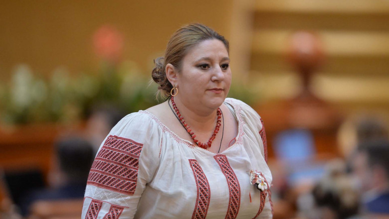 diana șoșoacă