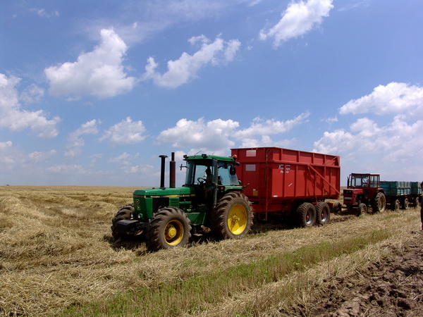 Mâncarea se scumpește chiar și de trei ori, prețul alimentelor vor exploda