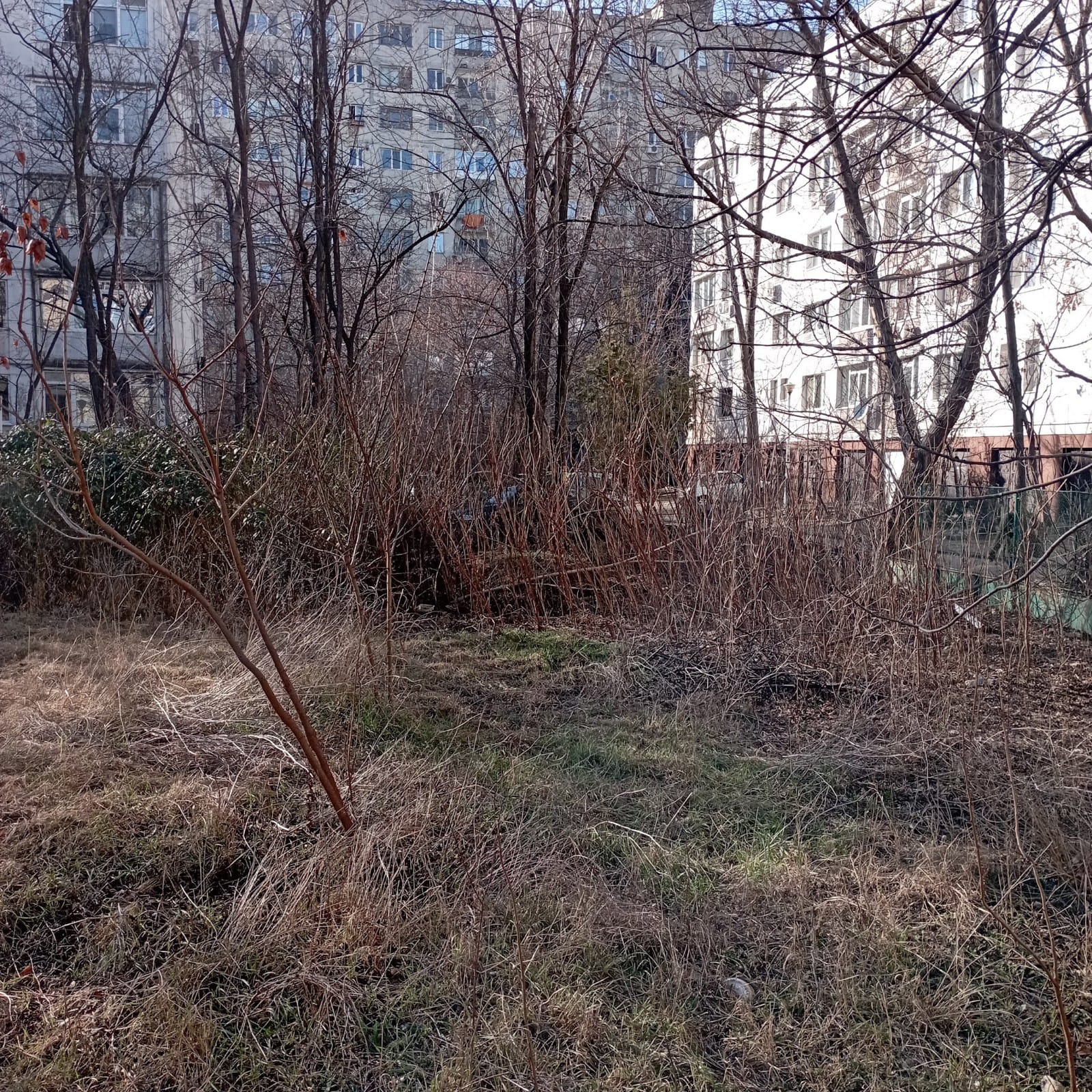 șerpărie