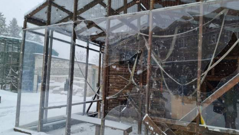Doi îngrijitori de la Grădina Zoologică din Harkov au fost uciși de ruși