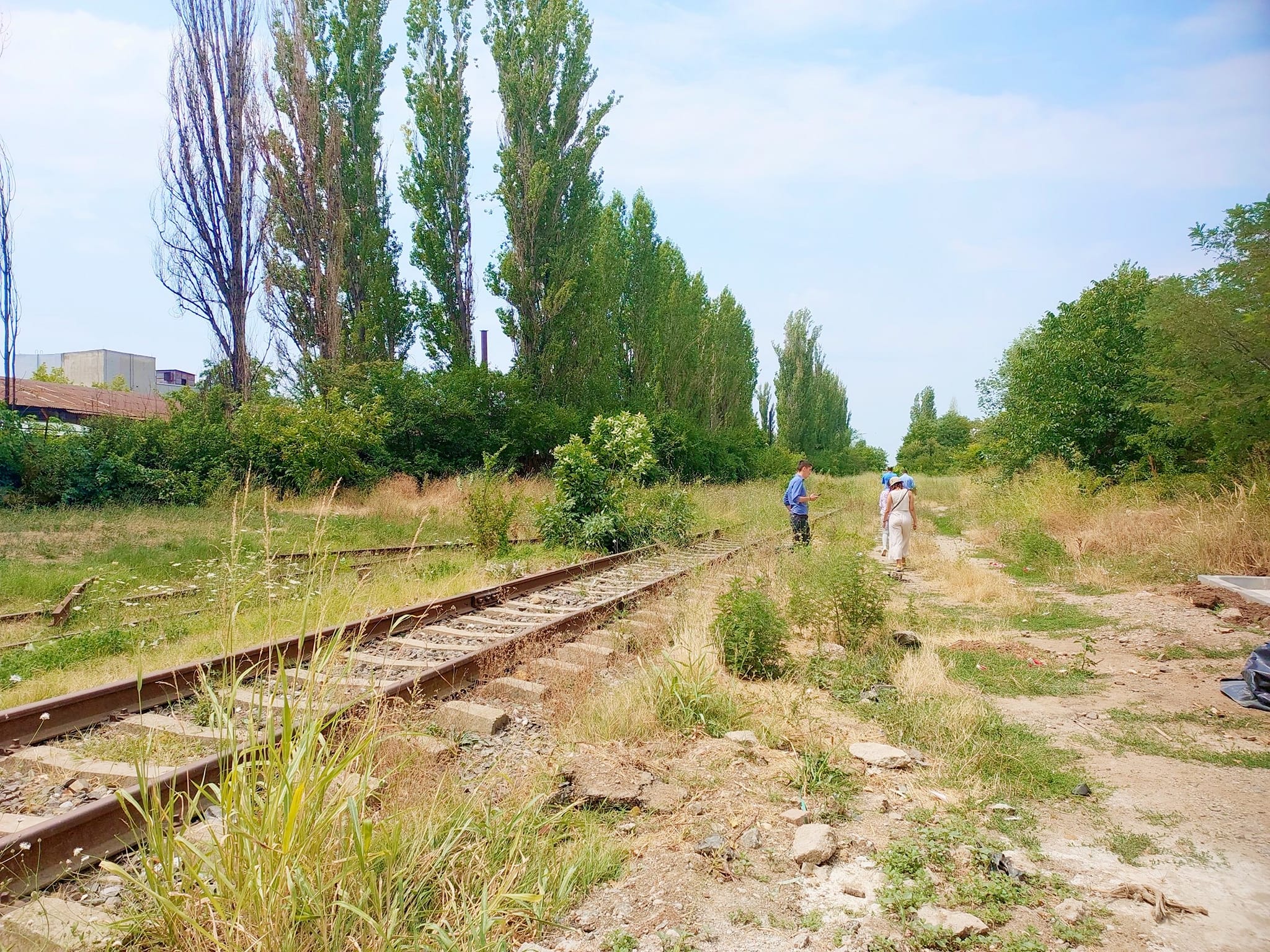 parc liniar