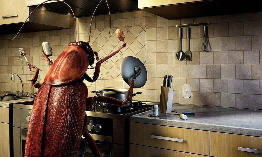 suplimente alimentare