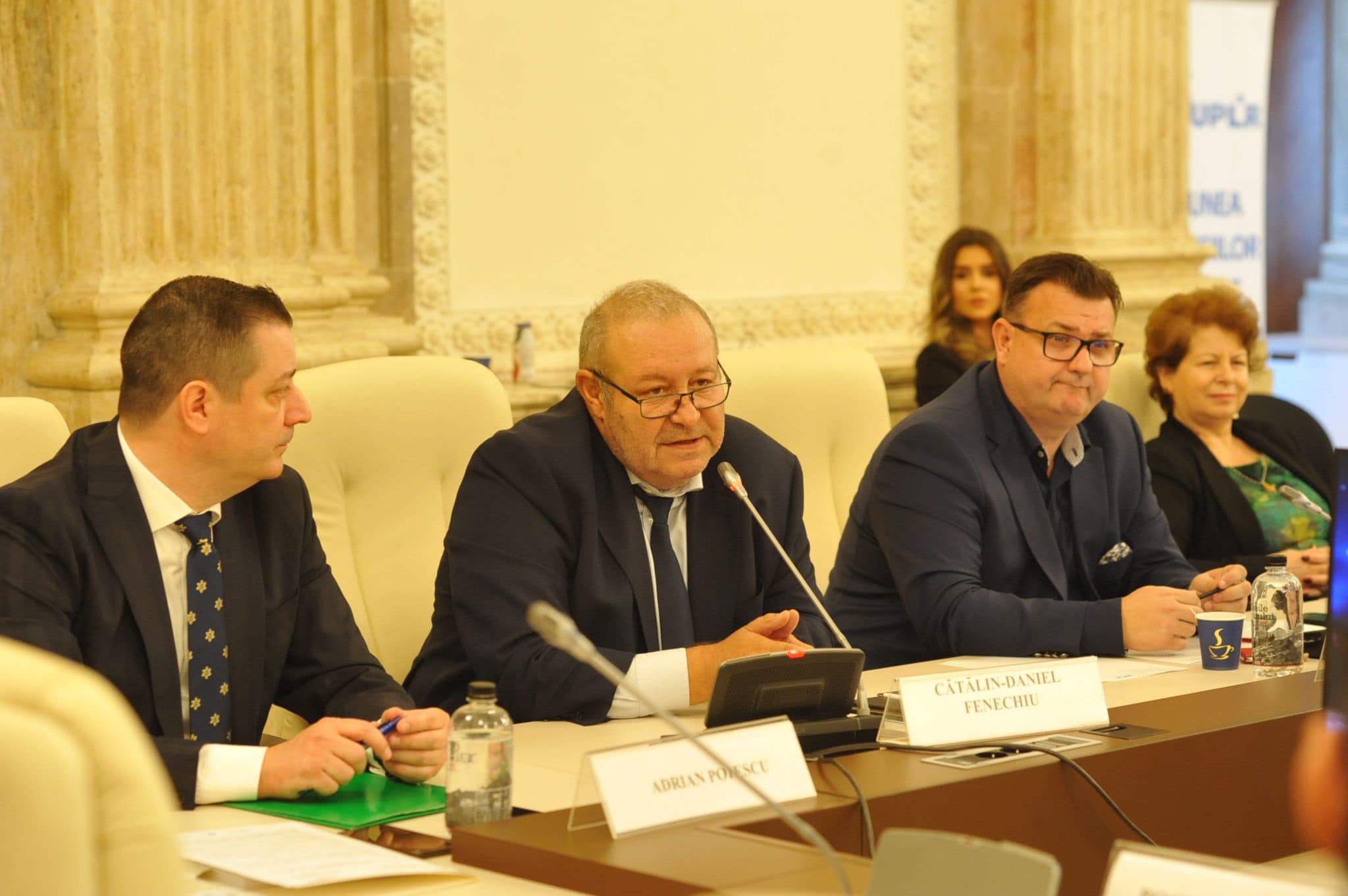 Proiectul de lege pentru înăsprirea pedepselor la tulburarea liniștii publice