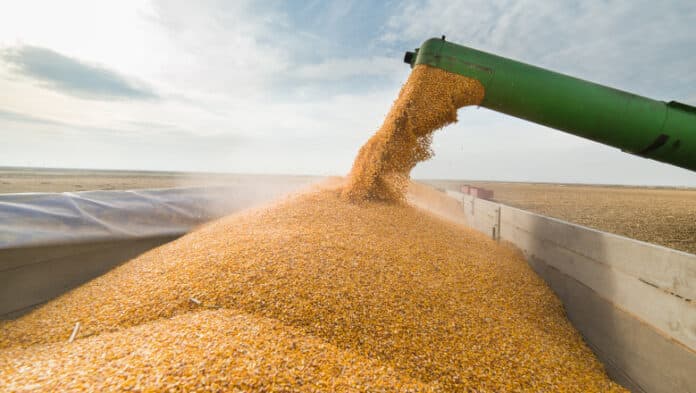 Cerealele din Ucraina nu numai că au subminat piața românească