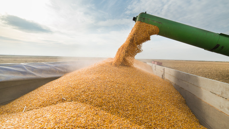 Cerealele din Ucraina nu numai că au subminat piața românească