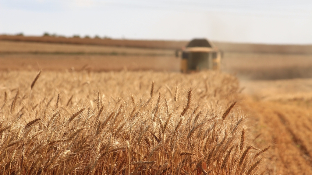 Embargoul cerealelor ucrainene va fi menținut în Polonia