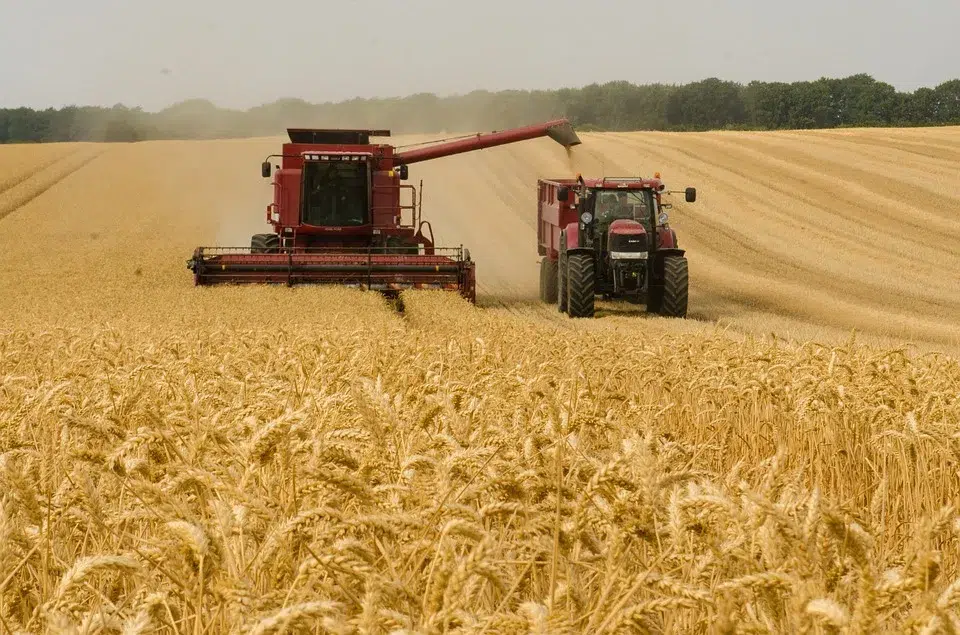Fermierii români au fost puternic afectați de situația tensionată din Ucraina