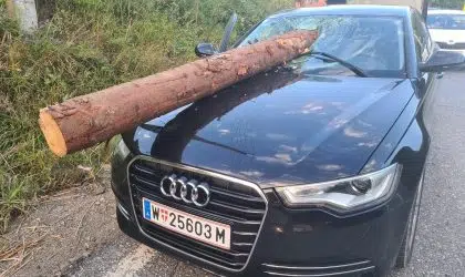 Un buștean a căzut dintr-un camion, a străpuns parbrizul mașinii din spate
