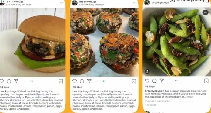 Joseph Yoon, un bucătar creativ din New York, face valuri în lumea culinară