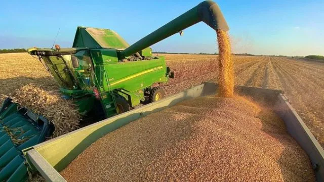 România a devenit cel mai mare exportator de grâu din UE