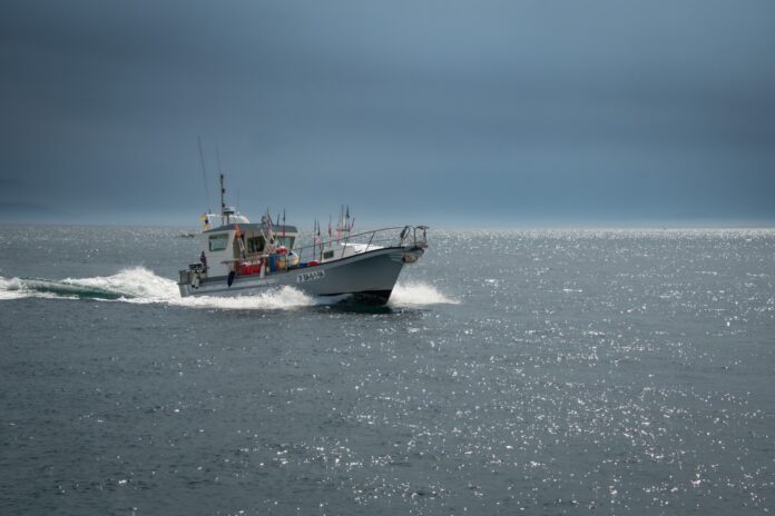 Pescarii nu mai ies pe mare din cauza minelor. Minea: falimentează
