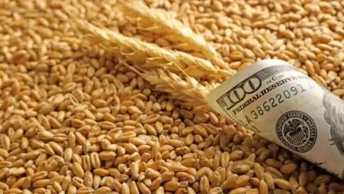 Un coridor alternativ pentru transportul cerealelor din Ucraina