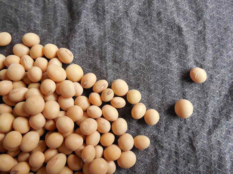 România importă soia masiv și exisă suspiciuni de manipulare genetică