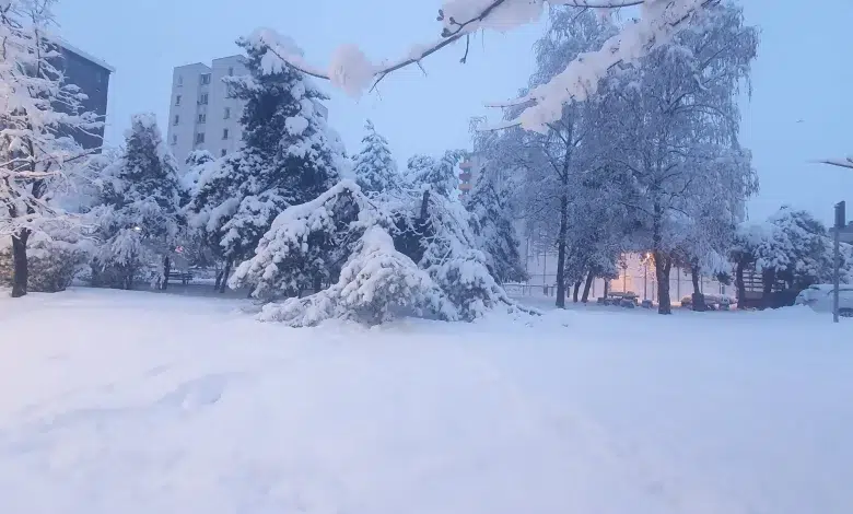 Un val de frig în Europa se anunță în acest sfârșit de săptămână