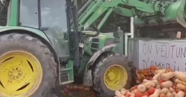 Șoferi români de TIR, ținta unui atac al fermierilor francezi la protest. Le-au distrus toată marfa din camion