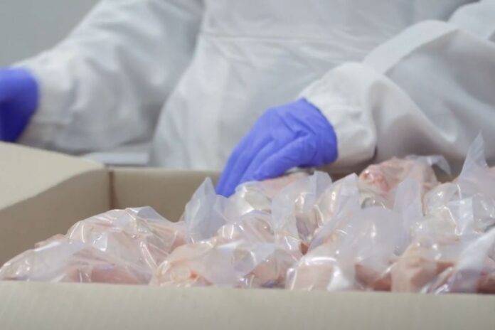 Ambrosia SRL, performanță spectaculoasă a unei firme cu un singur angajat!