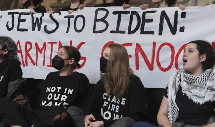 Actriță celebră reținută la un protest împotriva genocidului din Gaza, organizat chiar de evrei. Încătușată înaintea lui Biden, cu tot cu dreptul la liberă exprimare