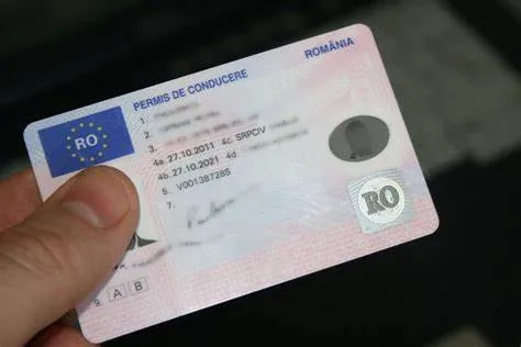 Permisul de conducere, reglementări stricte decise de Parlamentul European. Se introduce condusul pe zăpadă și polei. Ce alte modificări au fost votate