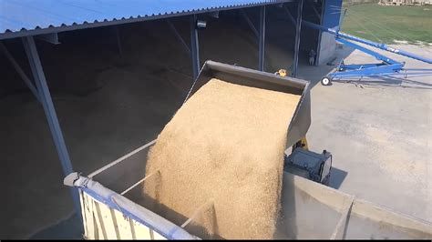 Cerealele ucrainene, importate masiv în România, în ciuda restricțiilor. Care e situația în Europa