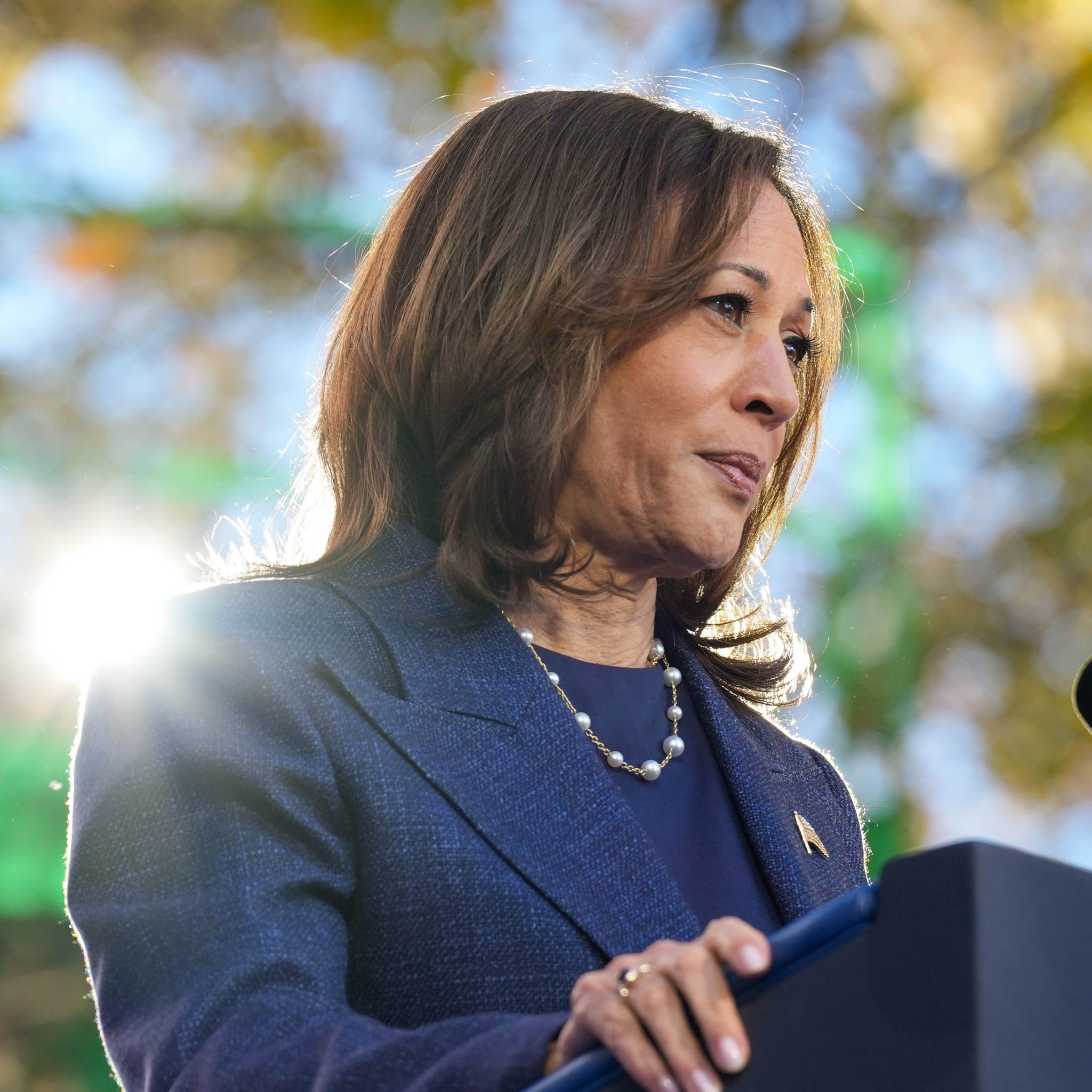 Kamala Harris l-a devansat din nou pe Trump în sondaje. Care sunt statele cheie