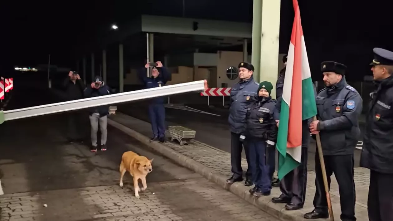 Primul „călător” în Schengen prin Vama Petea: un cățel maidanez, întâmpinat cu aplauze