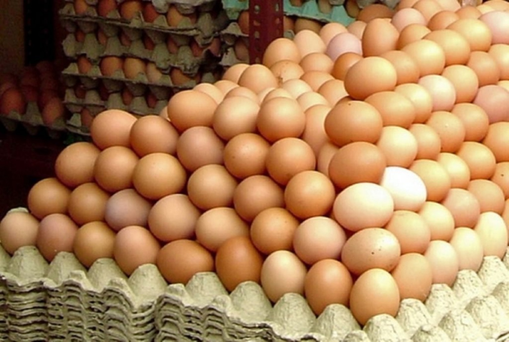 Ouă la carton