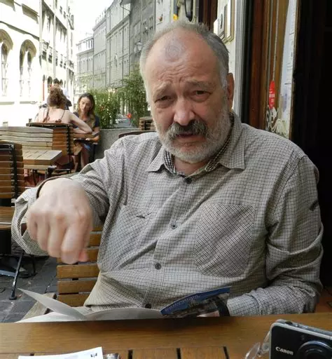 Istoricul Stelian Tănase