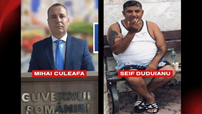 Mihai Culeafă