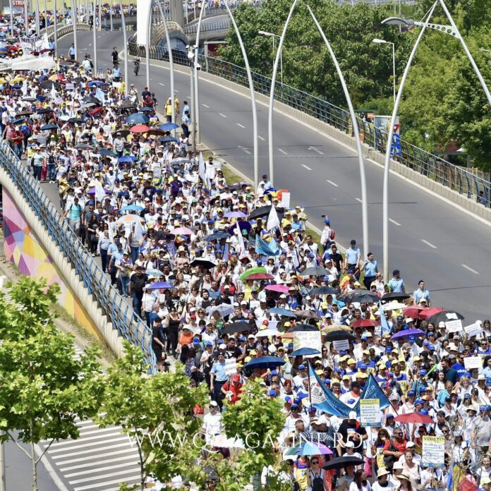 Profesorii pe Podul Basarab (foto QMagazine)